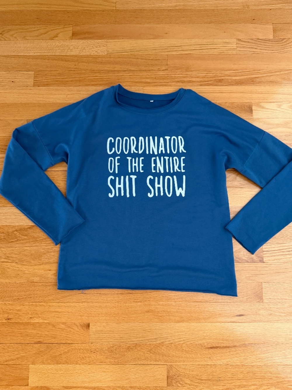 Funny Shirt Coordinator of the Entire Shit Show Size S/M Womens Blue Shirt